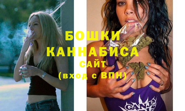 спайс Снежногорск