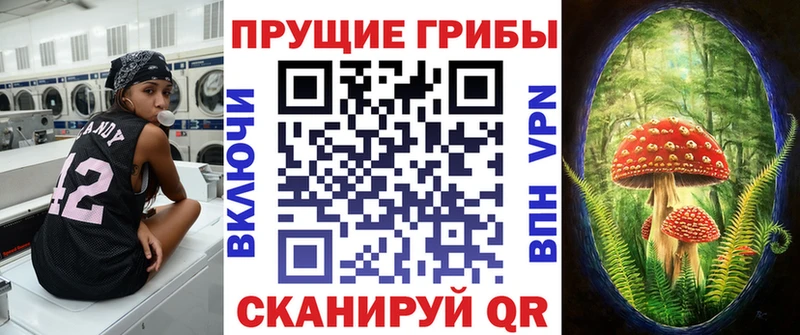 KRAKEN сайт  Тбилисская  Псилоцибиновые грибы мухоморы  купить  цена 